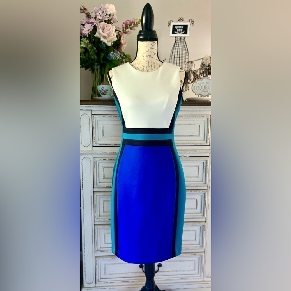 🖤GORGEOUS FABRIC! Pretty & Professional designer sheath dress, size 6-se…